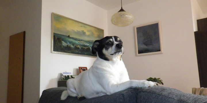 Maià estaba enfadada… ¡Muy enfadada!